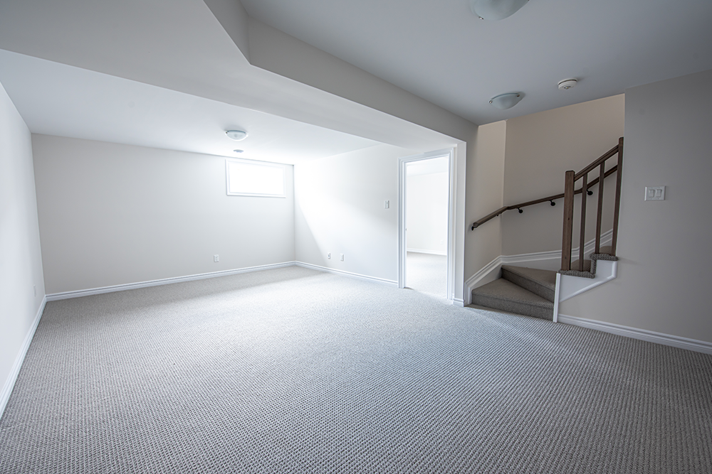 Basement Renovation